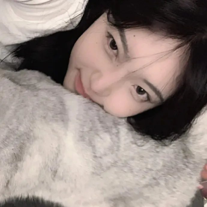 状王之王国语
