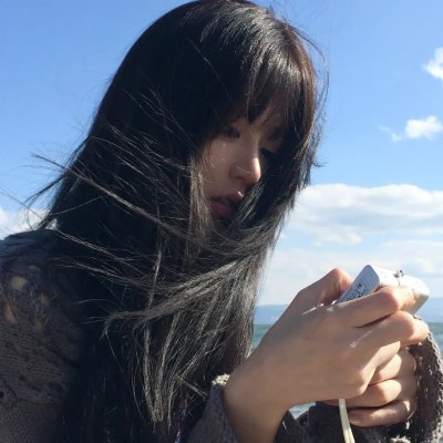 百日蔷薇