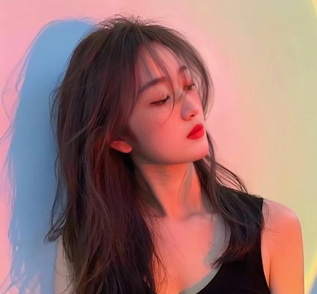 美术馆旁的动物园